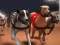 ゲームグレイハウンドレースオンライン