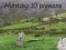 ゲーム鳩の狩猟オンライン