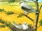ゲーム猛禽パズルオンライン