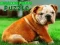 ゲームブルドッグ子犬パズルオンライン