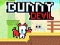 ゲームバニーデビルオンライン