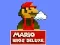 ゲームマリオブラザーズデラックスオンライン