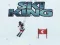 ゲームスキーキングオンライン