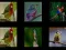 ゲーム鳥を覚えようオンライン