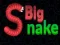 ゲームビッグスネークオンライン