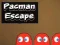 ゲームパックマンエスケープオンライン