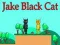 ゲームジェイク・ブラックキャットオンライン