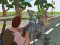 ゲームベストバトルカバー Royale 2022オンライン