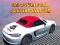 ゲーム不可能な駐車マスターオンライン