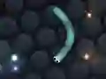 ゲームスリザー.ioオンライン ゲームスリザー.ioオンライン