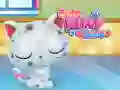 ゲームかわいい子猫のケアオンライン