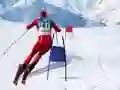 ゲームスラロームスキーシミュレーターオンライン ゲームスラロームスキーシミュレーターオンライン