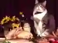 ゲーム面白い猫のパズルオンライン