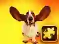 ゲーム面白い犬のパズルオンライン ゲーム面白い犬のパズルオンライン