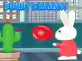 ゲームバニー・バルーニーオンライン ゲームバニー・バルーニーオンライン