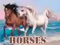 ゲーム馬オンライン ゲーム馬オンライン