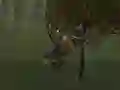 ゲームマウンテンバイクライダーオンライン