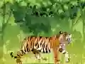 ゲーム怒っている虎の塗り絵オンライン