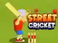 ゲームストリートクリケットオンライン