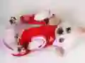 ゲームかわいい子犬スライダーオンライン