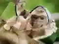 ゲームチンパンジーパズルオンライン