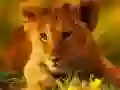 ゲーム野生の赤ちゃん動物ジグソーオンライン ゲーム野生の赤ちゃん動物ジグソーオンライン