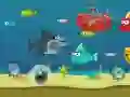 ゲームクレイジーシャークオンライン ゲームクレイジーシャークオンライン