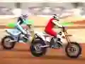 ゲームスーパーマックスニューレースオンライン ゲームスーパーマックスニューレースオンライン