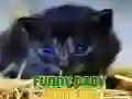ゲーム面白い赤ちゃん動物オンライン ゲーム面白い赤ちゃん動物オンライン