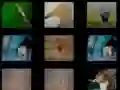 ゲーム動物の記憶オンライン ゲーム動物の記憶オンライン