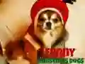 ゲーム面白いクリスマス犬オンライン