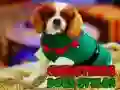 ゲームクリスマス犬スタイルオンライン