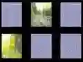 ゲーム自然の記憶オンライン ゲーム自然の記憶オンライン