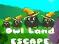 ゲームフクロウの国からの脱出オンライン
