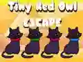 ゲーム小さな赤いフクロウの脱出オンライン ゲーム小さな赤いフクロウの脱出オンライン