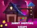 ゲームバニーショッピングエスケープオンライン ゲームバニーショッピングエスケープオンライン