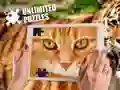 ゲーム無限パズルオンライン ゲーム無限パズルオンライン