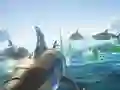 ゲームシャークシップオンライン ゲームシャークシップオンライン