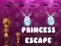 ゲームプリンセスエスケープオンライン