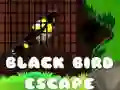 ゲームブラックバードエスケープオンライン