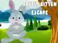 ゲームウサギと子猫の脱出オンライン ゲームウサギと子猫の脱出オンライン