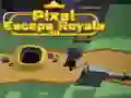 ゲームピクセルエスケープロイヤル3Dオンライン ゲームピクセルエスケープロイヤル3Dオンライン