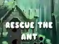 ゲームアリを救うオンライン