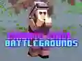 ゲームプライベートピクセルバトルグラウンズオンライン ゲームプライベートピクセルバトルグラウンズオンライン