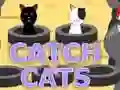 ゲーム猫を捕まえようオンライン ゲーム猫を捕まえようオンライン