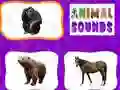 ゲーム動物の音オンライン