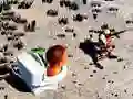 ゲームトップダウンスキビディトイレ射撃オンライン ゲームトップダウンスキビディトイレ射撃オンライン