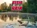 ゲーム魚の雨オンライン