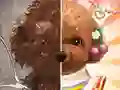 ゲームペットメイクマスターオンライン