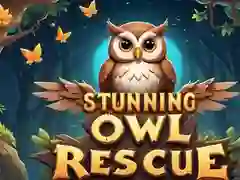 ゲーム驚くべきフクロウの救助オンライン